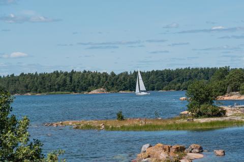 Utsikt över fjärden